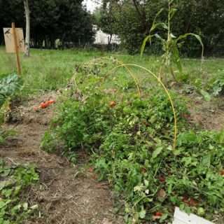 Retour au jardin